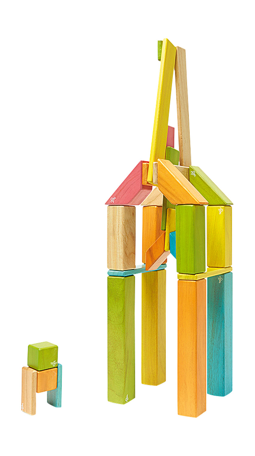 Tegu® Blocks